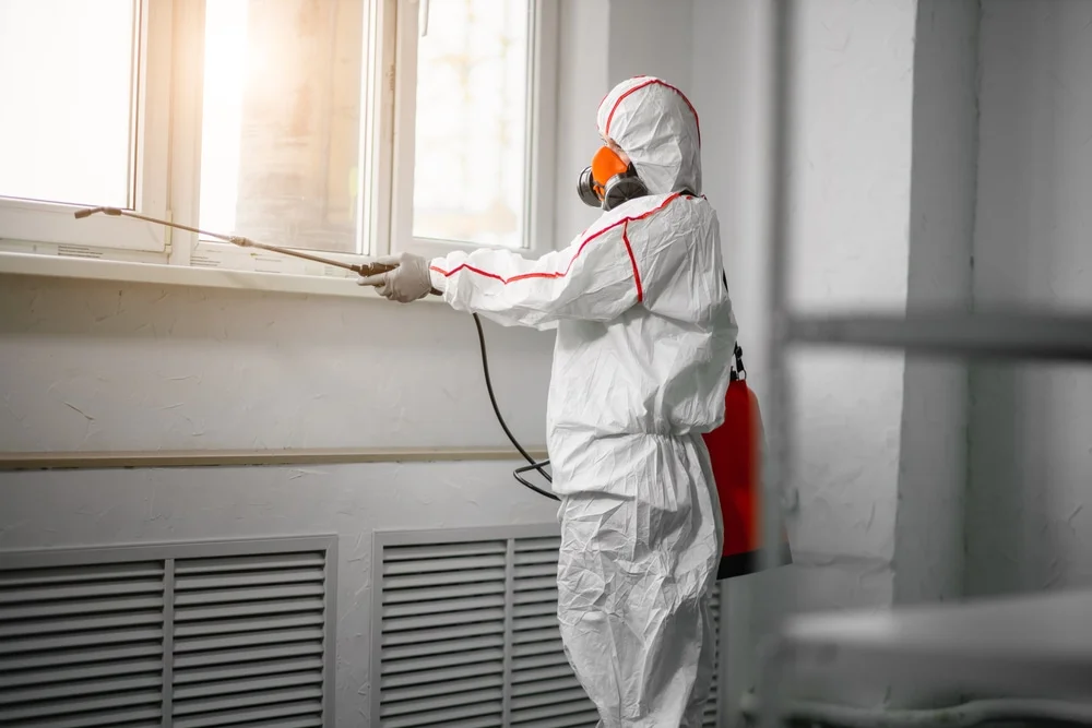 Professional mold remediation services in Thompson, UT